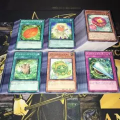 18616 遊戯王 大量セット 計250枚 ナチュルカメリア ナチュルの春風 他