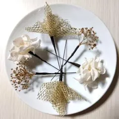 Item thumbnail for item c4d1c9ba-f97e-43f6-9b49-590b9c76e4bd