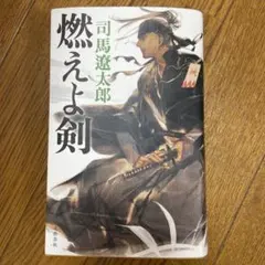 ツイステ 同人誌 小説 ドスベロ インドの大運動会 小説 包囲殲滅戦 合