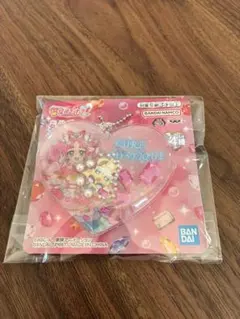 【名探偵プリキュア！】 シャカシャカチャーム キュアミスティック