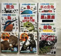 Item thumbnail for item 93eabdb7-898e-43f3-ab7a-a38e972c3e54