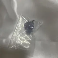 ポケピース　めじるしガチャマスコット　めじるしアクセサリー　ニャスパー