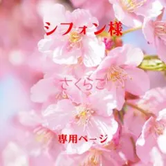 シフォン様 リクエスト 3点 まとめ商品