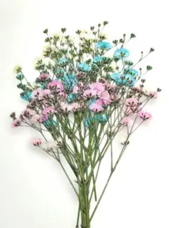 Item thumbnail for item 9e21bd89-f3d9-4e78-8f24-f09098a421ba