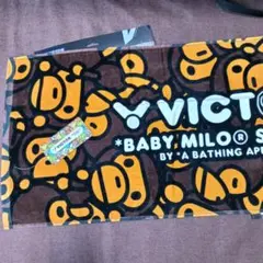 Item thumbnail for item 30cd4766-64bc-4c3d-bcbd-b316c7f683d7