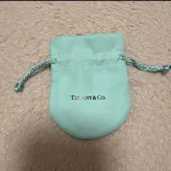 TIFFANYティファニー　保存袋のみのサムネイル