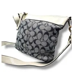 Item thumbnail for item 4c286626-67f4-4242-a5c3-c2a126e908c2