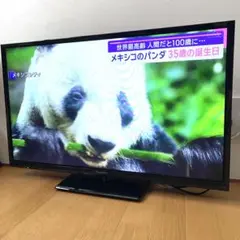 Panasonic テレビ　32V型　2019年製 概要 地上・BS・110度CSデジタルハイビジョン液晶テレビ