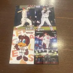 プロ野球チップス 楽天ゴールデンイーグルス