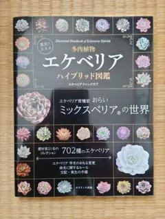 実生のススメ 多肉植物 エケベリアハイブリッド図鑑