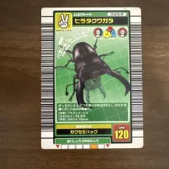 甲虫王者ムシキング ヒラタクワガタ 2003年夏 summer