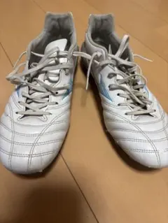 ミズノ　モナルシーダネオ