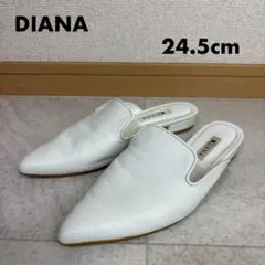 DIANA ダイアナ　レザー　サンダル　24.5cm ホワイト