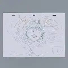 進撃の巨人 ピーク・フィンガー MAPPA カット袋付き原画風ボード 進撃の巨人 mappa カット袋付き原画風ボード 原画 - メルカリ