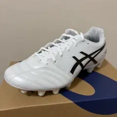 asics DS LIGHT ADVANCE WIDE 26cm 左のみ