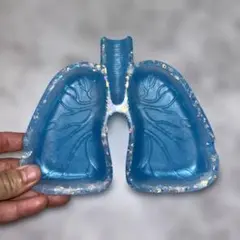 肺皿　小物入れのサムネイル