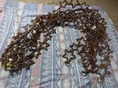 星型リース材料 約1.5m ５本セット ツル