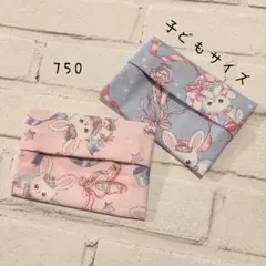 【750】ミニサイズ　ポケットティッシュケース　２個セット