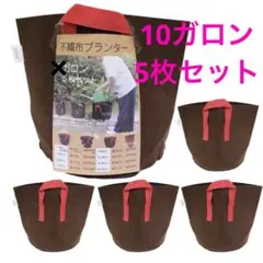 ★不織布プランター 植木 鉢 園芸 花 野菜 植物 栽培 10ガロン5袋セット