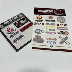 Item thumbnail for item 8b7373c0-1ece-4321-ac2c-a695ae5a8e3a