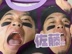 2025年最新】阪神タイガース シークレット 選手顔柄tシャツの