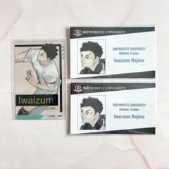 ハイキュー 名刺カード クリアカード 岩泉