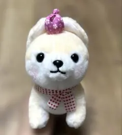 豆しば三兄弟