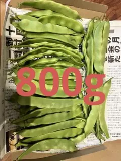 採れたて新鮮 白インゲン 600g - メルカリ