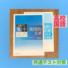 共通テスト集中演習 実用的文章