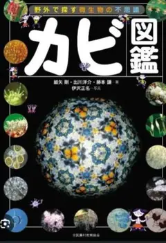 カビ図鑑 野外で探す微生物の不思議