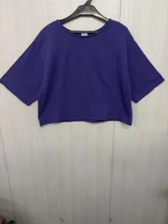 green label relaxing Tシャツ 半袖 パープル 綿100％のサムネイル