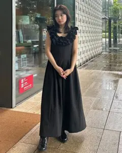 Bibiy FRANCOIS DRESS ワンピース ドレス ブラック チュール Bibiy FRANCOIS DRESS ワンピース ドレス ブラック チュール - メルカリ