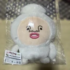 こびとづかん キャラ福くじ 第2弾 B賞 ぬいぐるみポシェットのサムネイル