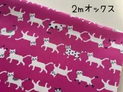 Jey様 リクエスト 5点 まとめ商品