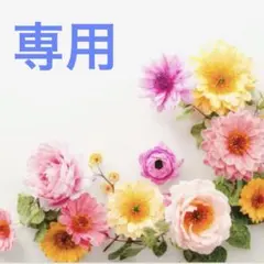 専用