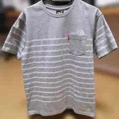 THE NORTH FACE グレー ストライプ Tシャツ M美品