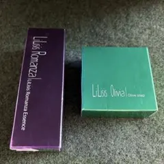 Item thumbnail for item 144a67b1-ee79-43f1-bcc9-9f2a487bbc0b