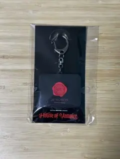 VOICE KEY HOLDER ジョンウォン