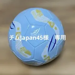 WORLD SOCCER BALL 7 アルゼンチンカラー5号サイズ