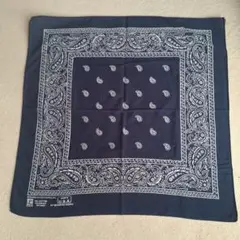 Item thumbnail for item 3b836751-30eb-4851-89bc-095863e1e9ee