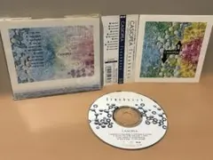 帯付 新品並★CASIOPEA / Freshness