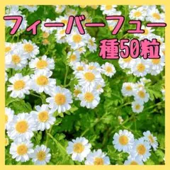 ミオ様 リクエスト 3点 まとめ商品