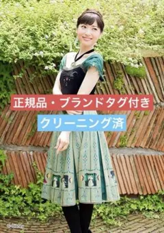 【美品】シークレットハニー　ディズニー　戴冠式　アナ　セットアップ　M 仮装のサムネイル