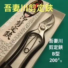 値下げ越後鍛冶職人が造った特注剪定鋏 2p - メルカリ