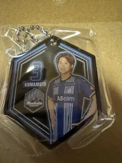 Item thumbnail for item 3e05616d-67ab-423e-93a9-538fdc92d4da