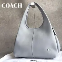 【極美品】COACH ラナ ホーボー Cロゴ トートバッグ 肩掛け 大容量 現行