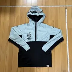 Item thumbnail for item 2908c796-fdee-405c-92a9-faaeccfcf74a