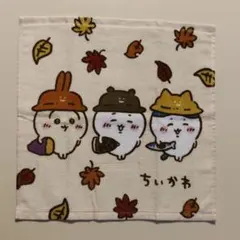 Blue様 リクエスト 2点 まとめ商品