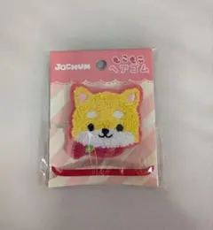 JOCHUM まめちぃ ヘアゴム 新品未開封 JO1 豆原一成