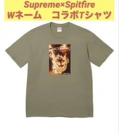 Supreme Supper Tee Brown Lサイズ 半袖Tシャツ 茶色 - メルカリ